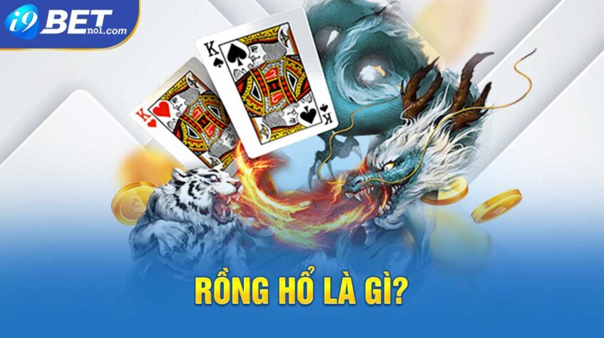 Rồng Hổ là gì?